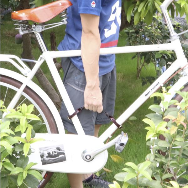 Handle Bike Little Lifter